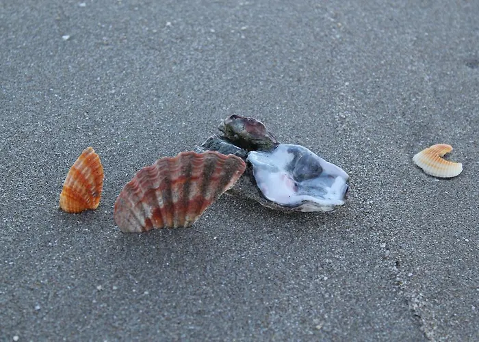 Hotel Anastasi E Cervia