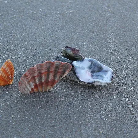 Ξενοδοχείο Anastasi E Τσέρβια